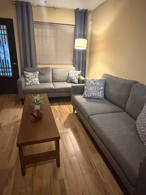 Furnished living room with sofas and a coffee table